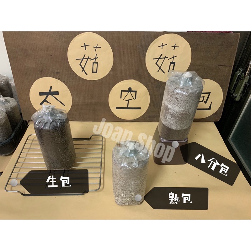 【 Joan Shop 】現貨 菇菇太空包🍄菇 菇菇 太空包 DIY 辦公室小物 送禮 火鍋配料