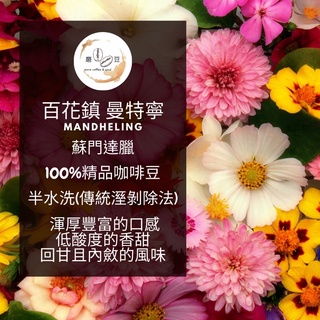 🚚快速出貨☕️磨豆咖啡☕️嚴選咖啡豆濾掛咖啡