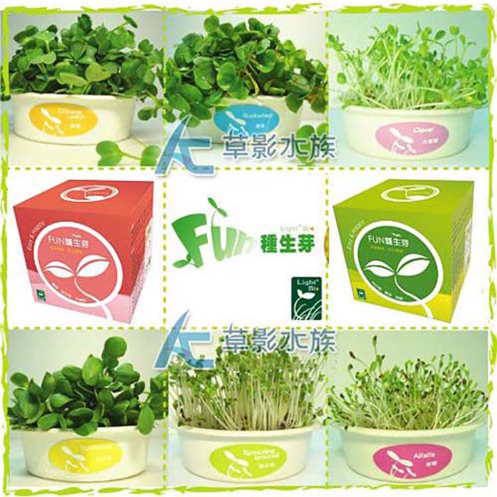 Ac草影 Fun種生芽粉紅組 蘿蔔 青花菜 大苜蓿 一個 蝦皮購物