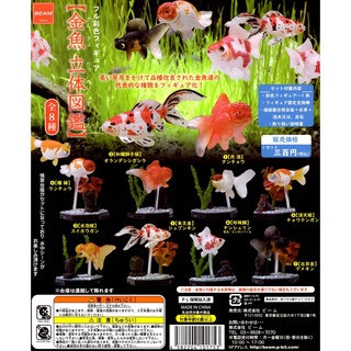 立體金魚 優惠推薦 21年9月 蝦皮購物台灣