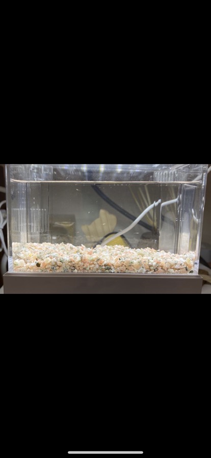 水族最便宜 魚缸底砂燈科魚鱂魚水草缸專用底砂 粉色砂1公斤袋裝 日本sudo 蝦皮購物