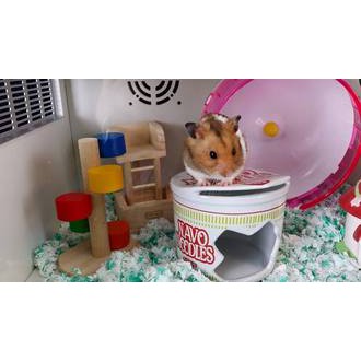 【三隻小豬寵物用品】方便便泡麵陶瓷窩(黃金適用)
