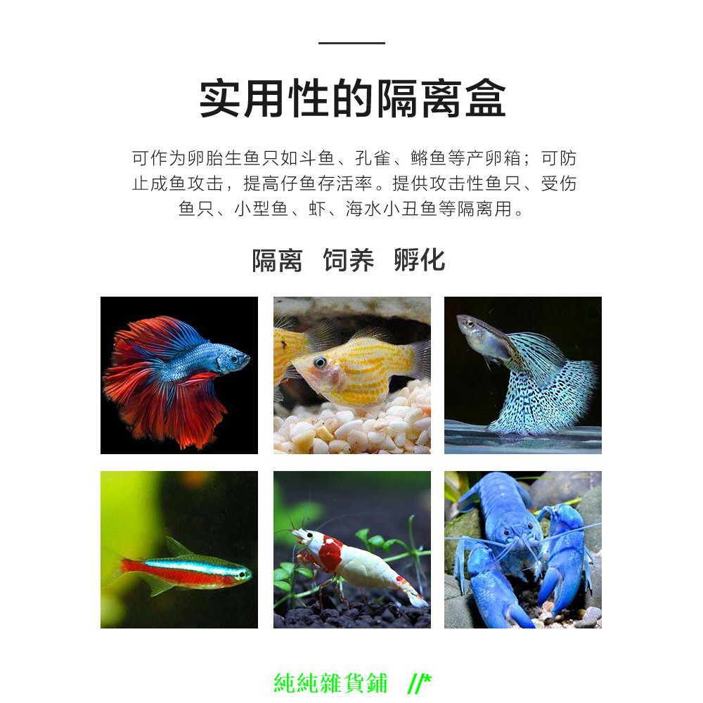 純純雜貨鋪 孔雀魚孵化繁殖盒器亞克力魚缸隔離盒產卵器幼小魚苗卵繁殖箱產房 蝦皮購物