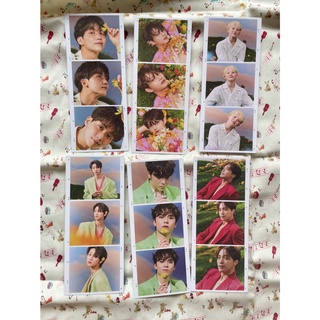 SEVENTEEN Sector 17 三格卡 貼紙 正規四輯後續 照片卡 專卡 韓國