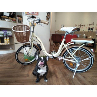可愛櫻花 牛奶車 BAOLI Milk 20吋 SHIMANO 6段 變速 高雄 淑女車 買菜車 通行車 學生車