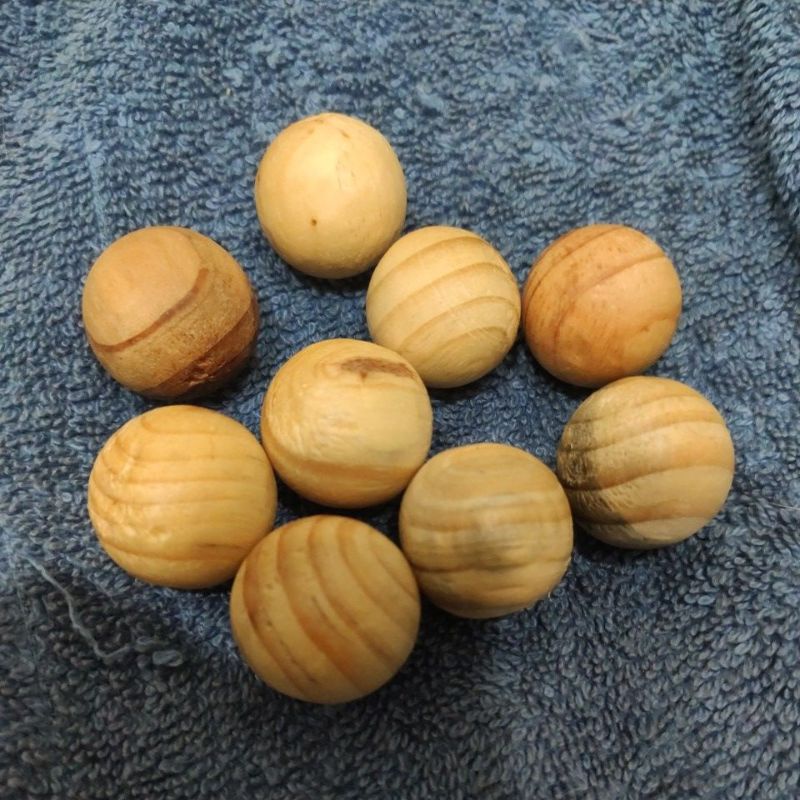單顆 天然樟木球 代替樟腦丸 除蟲 防臭 樟木球