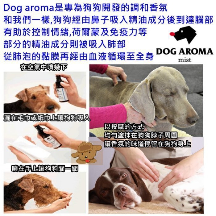 三吉米熊 日本dog Aroma狗狗專用和緩亢奮情緒乖狗狗香氛噴霧 靜悄悄精油按摩噴霧50ml 蝦皮購物