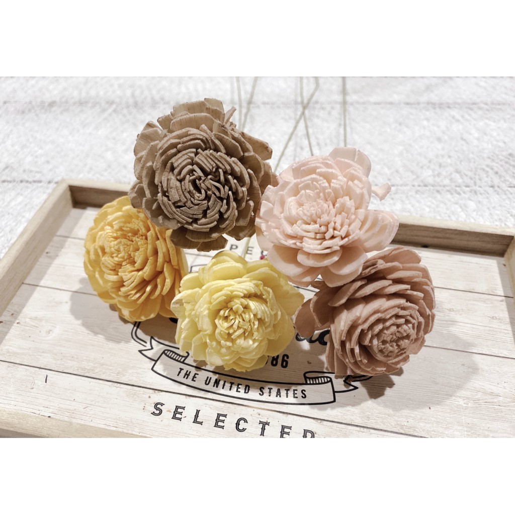 夏 花charice Flora 乾燥花 乾燥花材 索拉花 太陽花 太陽玫瑰 通草花 手工花 手作素材 乾燥花素材 蝦皮購物