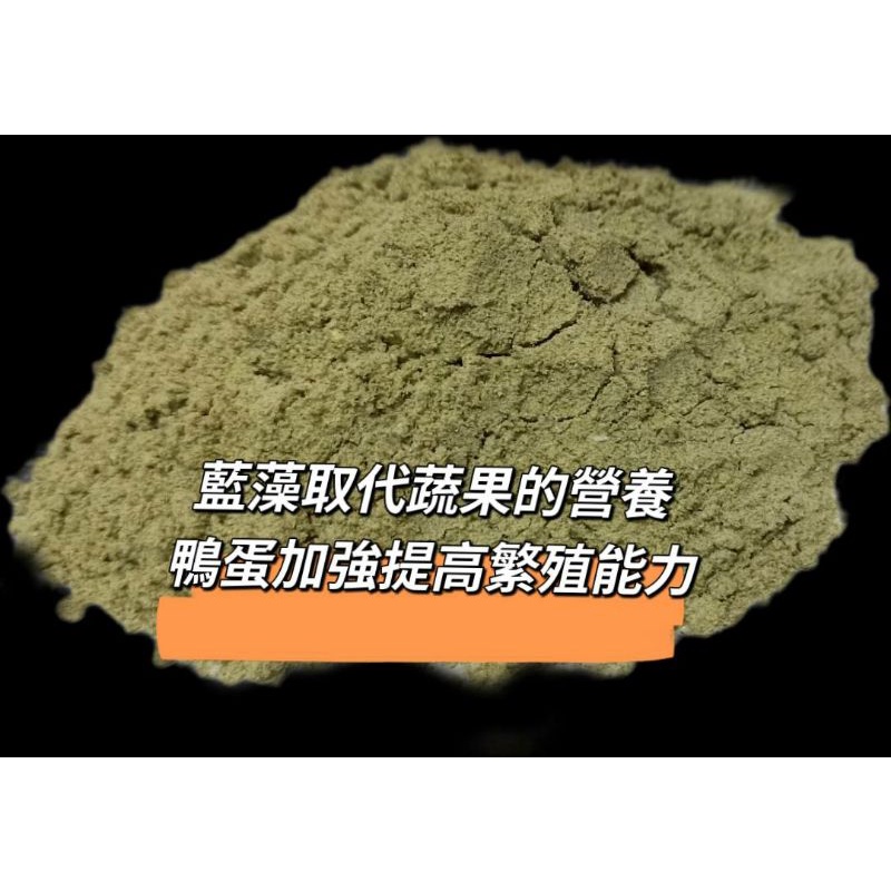 T066鸚鵡物語編號16 藍藻鴨蛋粉 繁殖最佳聖品 一台斤 蝦皮購物