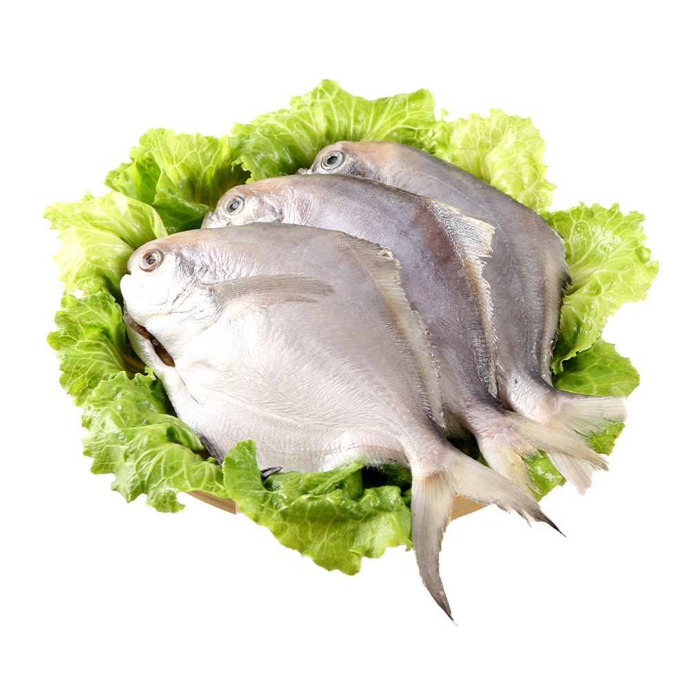 愛上生鮮 船捕鮮凍小白鯧(4/6/8包)海鮮 魚 新鮮營養 肉質綿密(250g/包)現貨 廠商直送