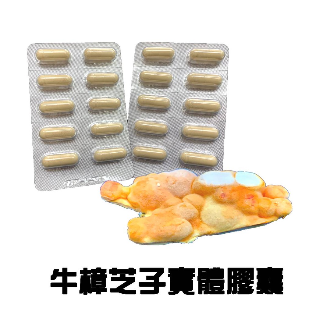 牛樟芝子實體膠囊 現貨 399免運 150元/10顆 衛福部備查許可 樟芝 子實體 三萜 多醣 靈芝之王 輕鬆養身保健