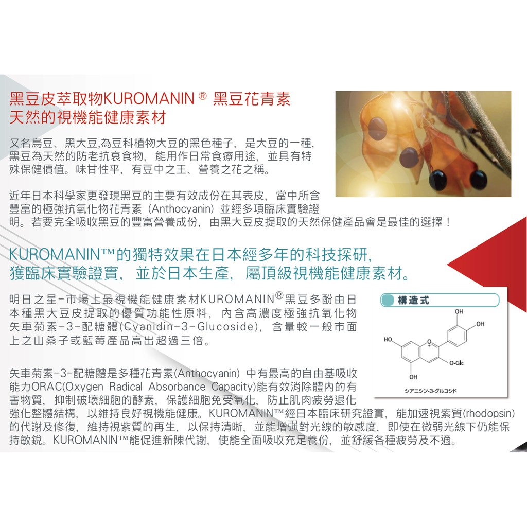 現貨黑亮瞳日本顧眼睛現貨出貨速度快 蝦皮購物