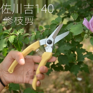 尖嘴剪 優惠推薦 21年7月 蝦皮購物台灣