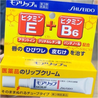 資生堂藥用護唇膏 E+B6