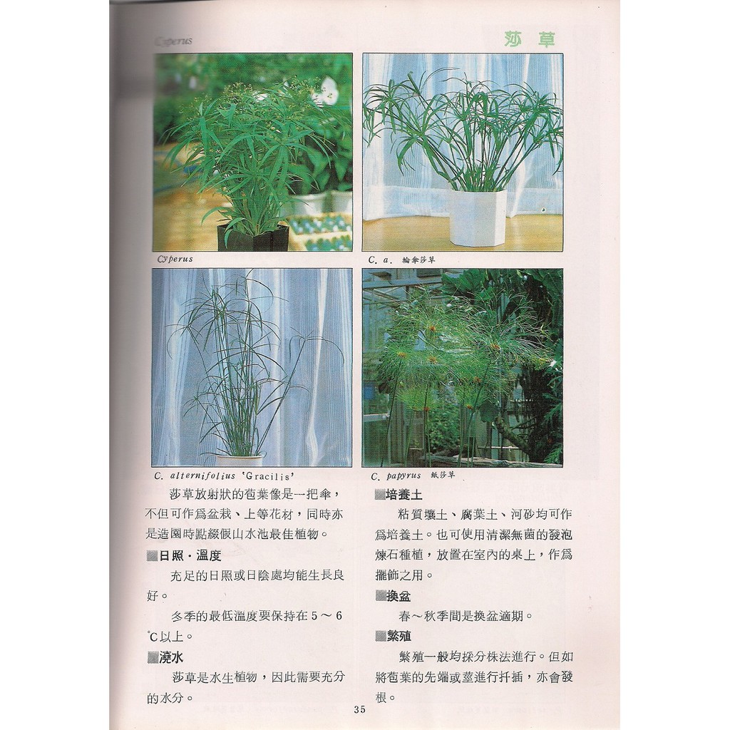展示書 觀葉植物全集 蝦皮購物