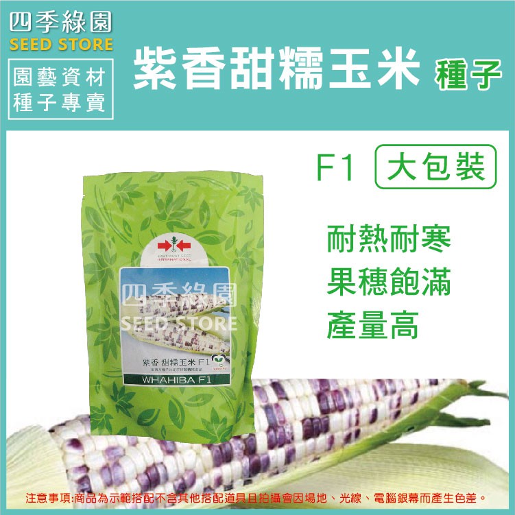 紫香甜糯玉米種子(大包裝)產量極高,品質香Q又甜,風味極佳【四季綠園】