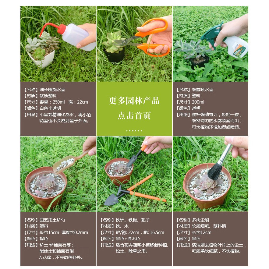 新品特價折扣潘易多肉植物種植工具組合套裝養花迷你園藝用品肉肉澆水壺鑷鏟子免運 大尺碼女王 蝦皮購物