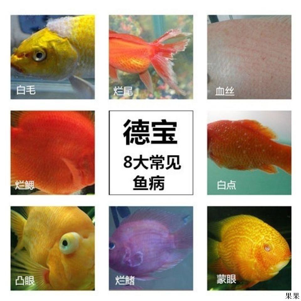 萬能魚藥德寶魚藥殺菌消毒水質清澈劑熱帶魚觀賞魚魚藥魚缸殺菌 蝦皮購物