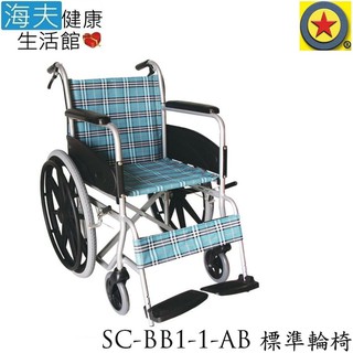輪昇 特製推車 (未滅菌)【海夫健康生活館】輪昇 通用型 輪椅(SC-BB1-1-AB)