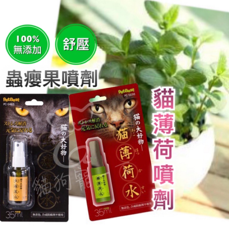 蟲癭果噴劑 Ptt Dcard討論與高評價網拍商品 21年9月 飛比價格