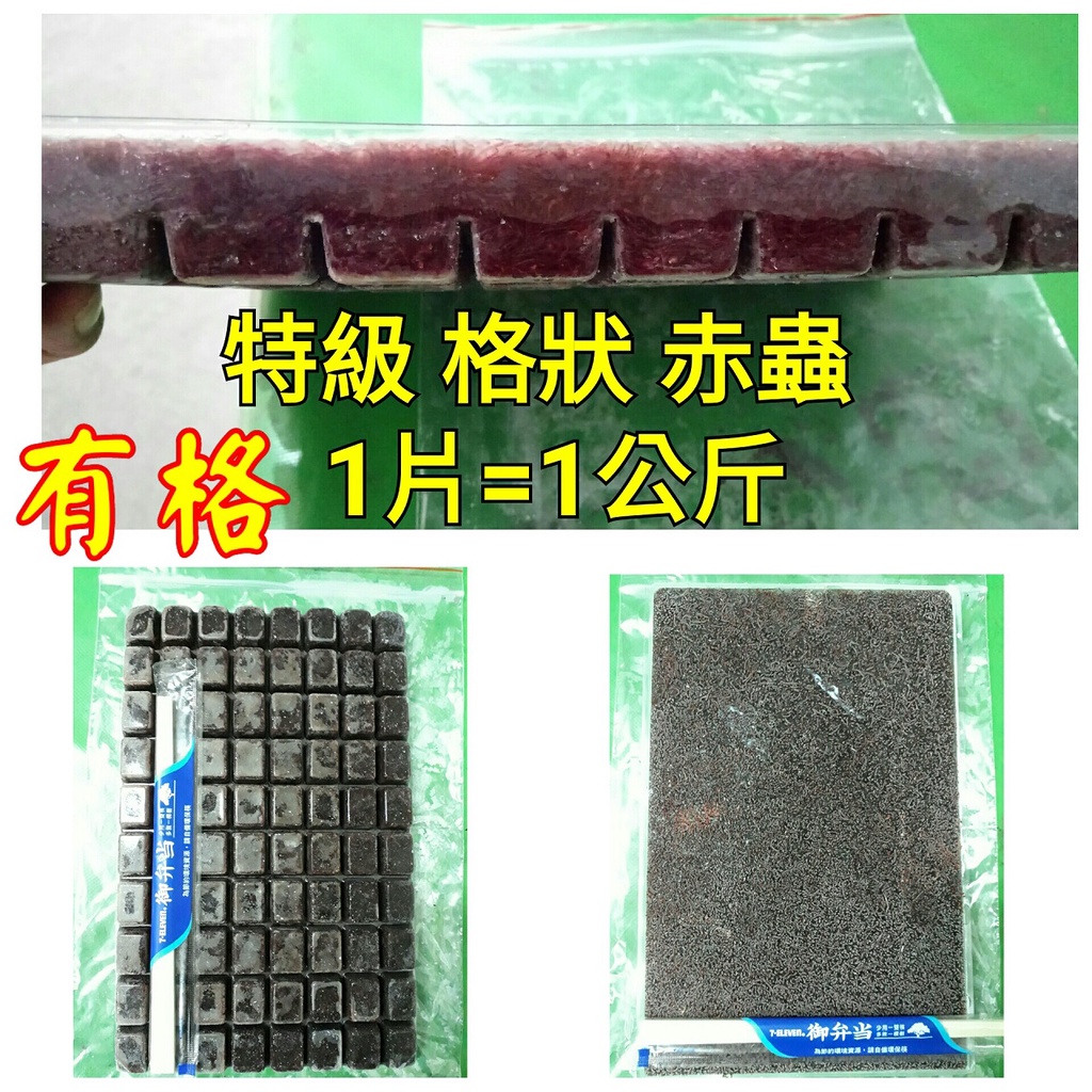 {牛妹冷凍魚飼料}特級格狀赤蟲水分比較少【請勿先下單 方案多種 可先聊聊詢問】