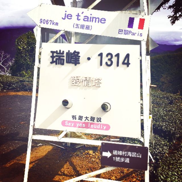阿里山珠露茶免費送 買 標高1300m阿里山瑞峰茶 免費送阿里山珠露茶一斤 1980共三斤 蝦皮購物