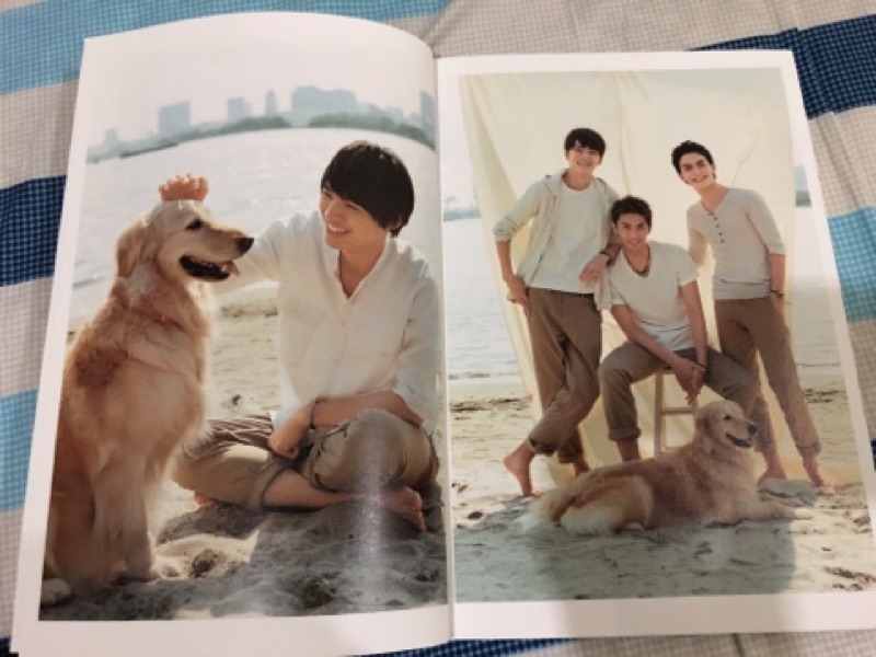 日雜vivi 七月號附錄別冊好きっていいなよ福士蒼汰山本涼介永瀬匡市川知宏雜誌 蝦皮購物
