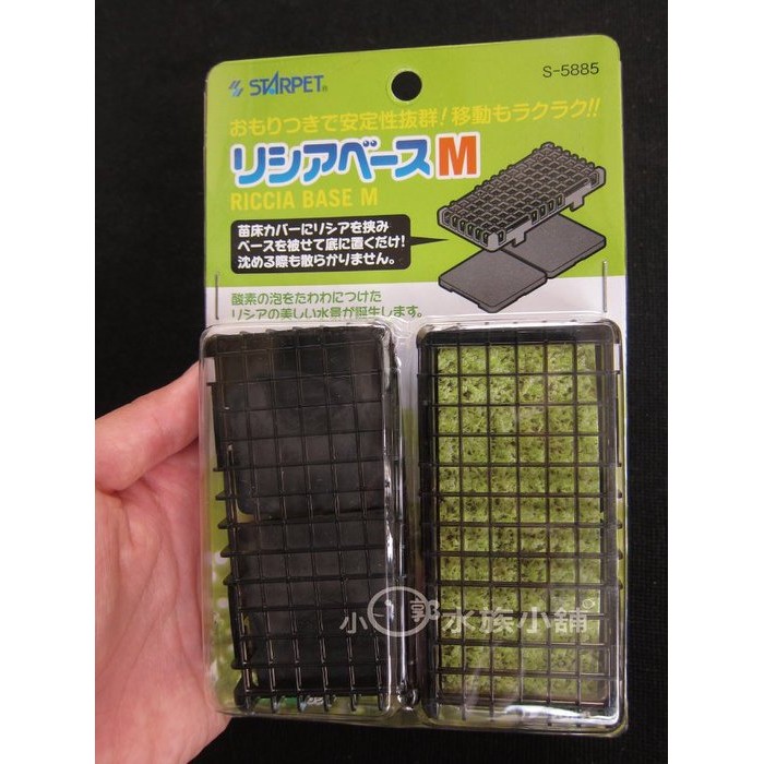 小郭水族 日本sudo Starpet 鹿角苔育成器2入s 55 莫絲 鹿角苔 默絲 Moss 蝦皮購物