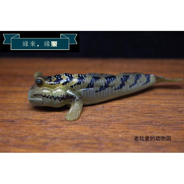 海洋模型 絕版日本yujin出品原色淡水魚圖鑒2代改訂版單賣 銀身彈涂魚 蝦皮購物