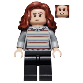 玩樂趣 LEGO樂高 哈利波特 75967 Hermione Granger  hp234