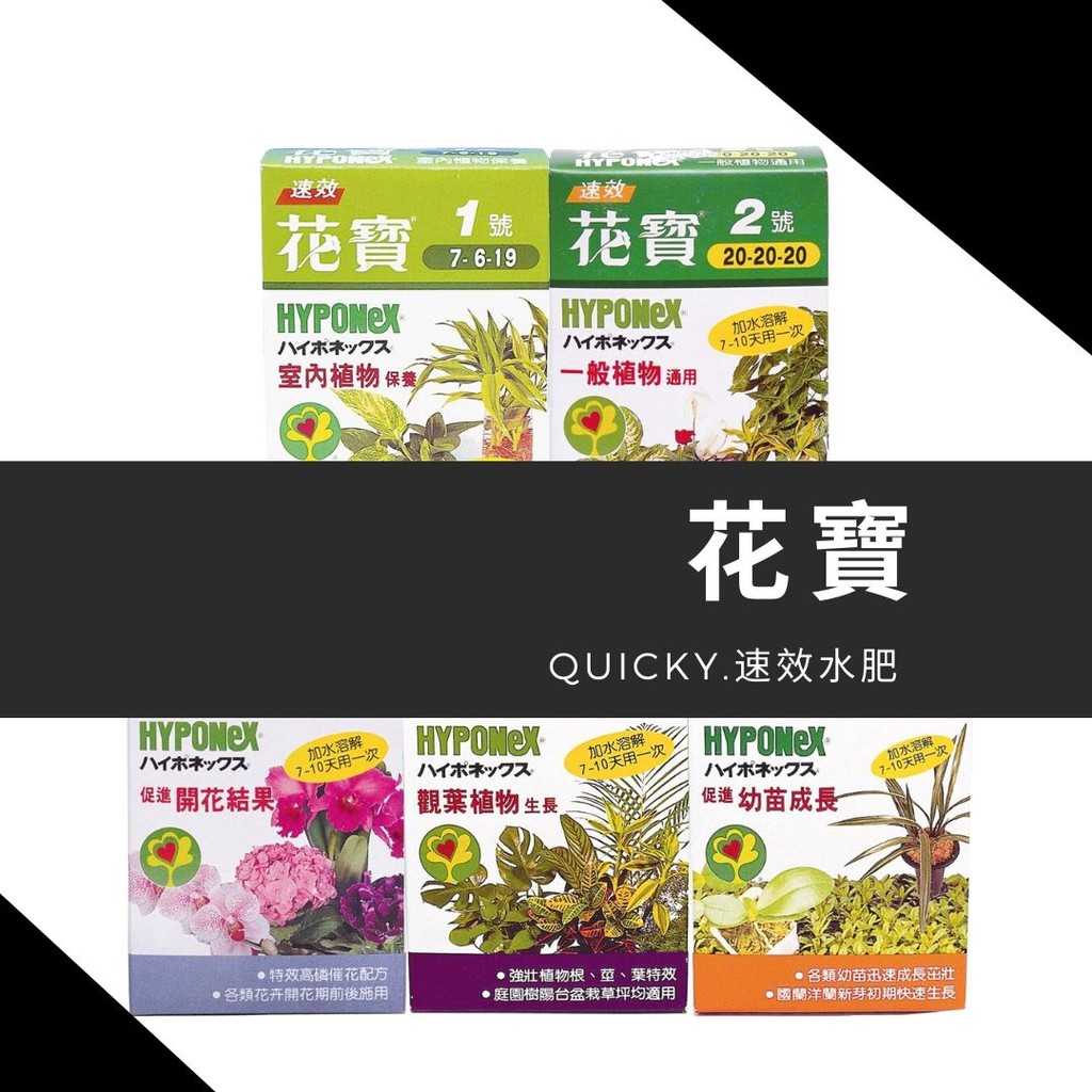花寶 一般植物 觀葉植物 速效水肥料 營養液 蝦皮購物