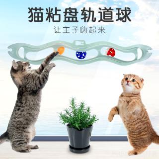 【PetBaby寵物精靈】吸盤窗臺貓咪軌道球 寵物玩具 塑膠乒乓球 逗貓益智寵物用品