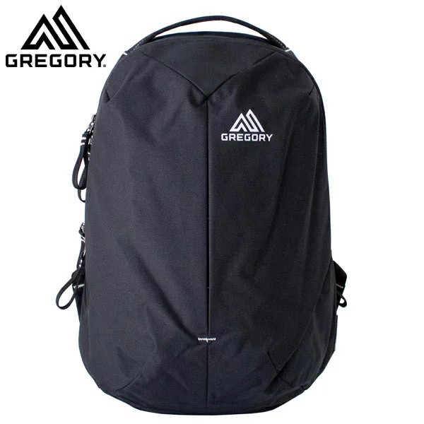Gregory Sketch 22 Ur Backpack 背包可放15 手提電腦black Carbon 黑色現貨 蝦皮購物