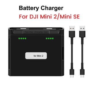 Mini2 Mini SE 電池充電器兩路充電集線器無人機電池 2 槽 USB 充電器適用於 DJI Mini 2 SE