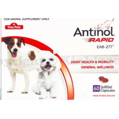 Antinol Rapid 安適得酷版關節保健 ~30顆