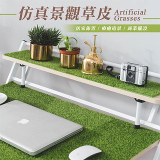 模擬景觀草皮 人工草皮 草皮毯 拍照裝飾 佈置擺飾 植栽 人工造景 辦公室小物 療育小物 公仔佈置【CC-E069】