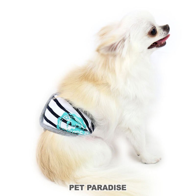 帕彼愛逗 日本 pet paradise 代理 Field Glide 條文 禮貌帶 [M070] 大狗