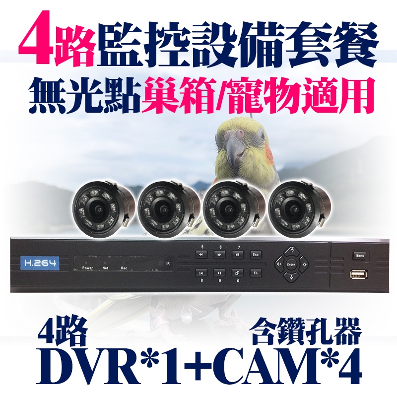 巢箱 攝影機 4路 監視器 DVR 無光點 鸚鵡 寵物 繁殖 遠端監看 錄影 玄鳳 巴丹 灰鸚鵡 和尚 塞內 折衷 套餐