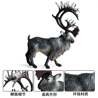 動物模型 動物世界 動物星球 大號馴鹿 北美馴鹿 白尾鹿可愛草食性動物 兒童動物認知