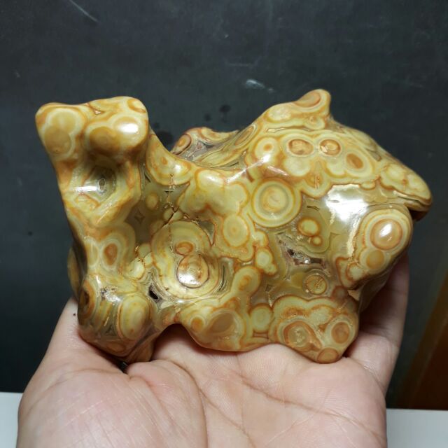 澎湖文石 蝦皮購物