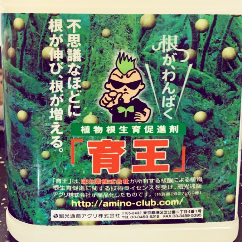日本原裝進口育王，肥進（複）字第0851001號，低分子核酸，促進植物根部細根生展（開金毛），農業園藝都好用。