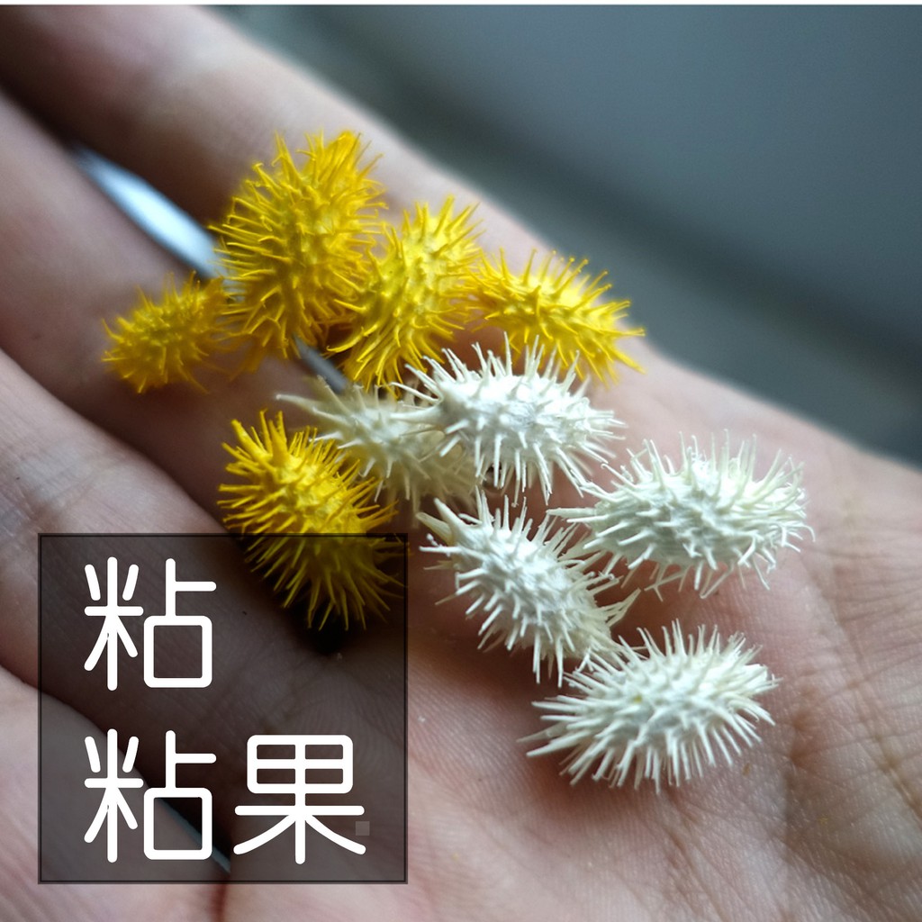 My Wonderful 手工花材料【粘粘果】天然乾燥花材DIY