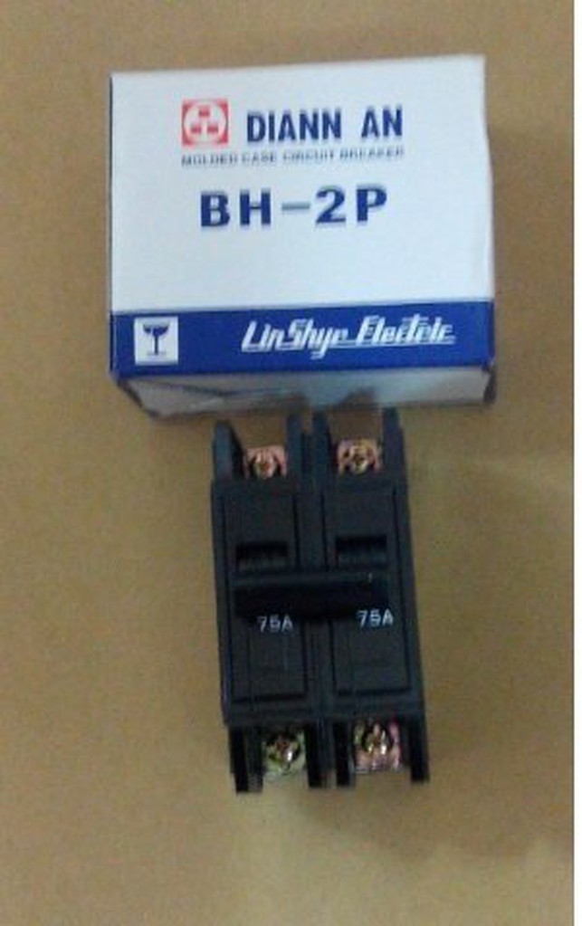 電安 BH型 2P 75A 無熔線斷路器 無熔絲開關 2P 75A 台灣製造