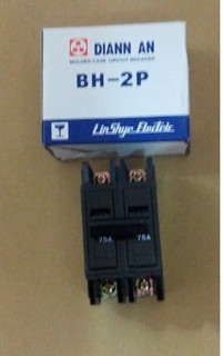 電安 BH型 2P 75A 無熔線斷路器 無熔絲開關 2P 75A 臺灣製造