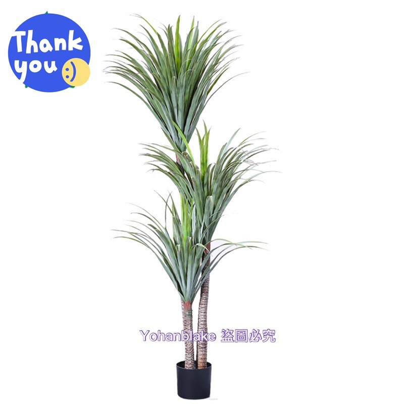 🔜🥰宅配免運費🌵北歐仿真 龍血樹🌵室內大型綠植盆栽 仿真千年木 假巴西馬尾鐵 客廳落地植物