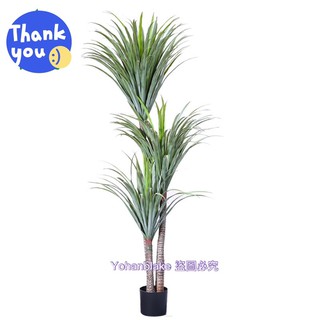 🔜🥰宅配免運費🌵北歐模擬 龍血樹🌵室內大型綠植盆栽 模擬千年木 假巴西馬尾鐵 客廳落地植物