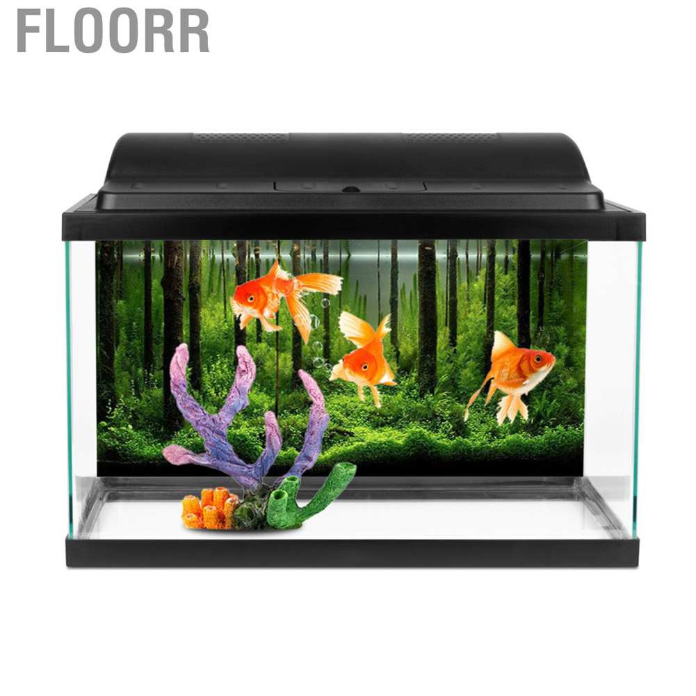 水槽粘度金魚