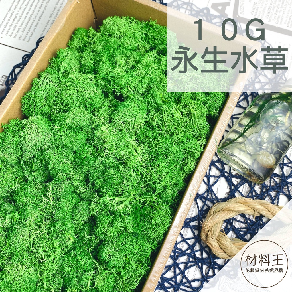永生水草苔蘚馴鹿苔苔蘚 １０克裝多種顏色 苔蘚水草永生花乾燥花現貨 蝦皮購物