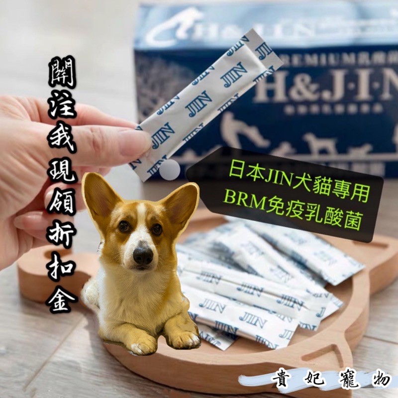 日本JIN寵物乳酸菌 寵物益生菌 貓咪狗狗益生菌 貓咪乳酸菌犬貓通用