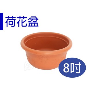 【醬米資材】荷花蓮花水耕植物換盆 加厚加深 荷花盆8吋